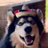 Profilbild von Charls