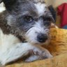 jcrc's profile picture
