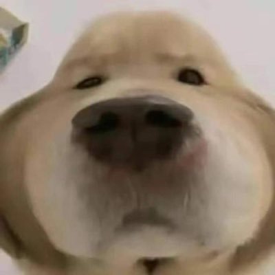 เหน่ยเค้ย🐶🧡's profile picture
