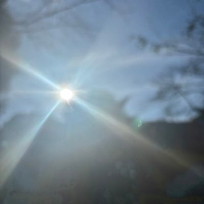 ちくわ's profile picture