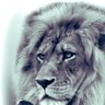 Alkaboss's profile picture