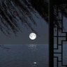 Фото профиля الحمدلله.