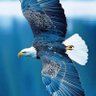 Manoharan nadar P's profile picture