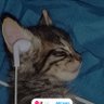 Hari prasad's profile picture