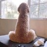Profilbild von Fat Cock