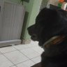 Фото профиля joaozinho337