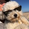 Wilfred's profile picture
