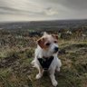 Lorna D profil fotoğrafı