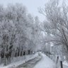 Фото профиля Diyar Elmani