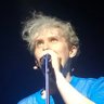ollie ๐ซกโผ๏ธ's profile picture