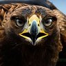 AbuNasir's profile picture