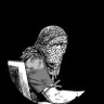 Yugo Gugo's profile picture