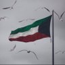 بوعبدالله's profile picture
