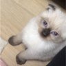 blueDrazz profil fotoğrafı