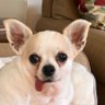 Arizonalady's profile picture