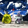 Seacookie's profile picture