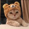 elena's profile picture
