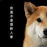 屁啦's profile picture