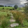 Devon Up profil fotoğrafı