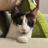 Profilbild von moneta