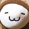 めろんぱん@グレーさんありがとう's profile picture