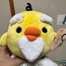 Фото профиля キイロノトリ