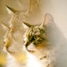 karfianda profil fotoğrafı