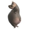 Gloria the Hippo CTO's profile picture