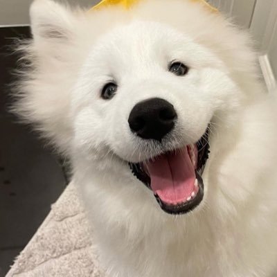 ⋆ ࣪ พีพี 🌷's profile picture