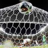 EL bicho's profile picture