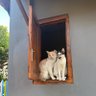 kiki🇵🇸's profile picture