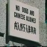 台灣獨立,支那賤畜死光 profil fotoğrafı