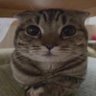 Profilbild von Danmuglas