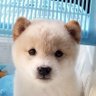 豆1 的头像