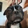 Profilbild von Jeremy B