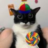 Profilbild von Exy-