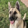Duke's profile picture