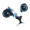 kazukishuto's profile picture