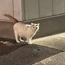ユウ 的头像