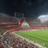 ⚪🔴⚪ Nico's profile picture