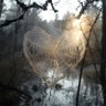 Фото профиля FEDSMOKER