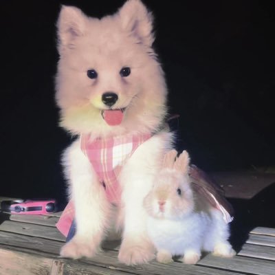 cloudyede's profile picture