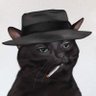 Karlos Edu (kae) profil fotoğrafı