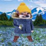 Karen (Harris/Walz Alaskan Democrat) 🆘🌊🌊🌊's profile picture