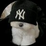 stelle.'s profile picture