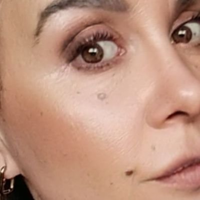 Bolboreta Vermella/❤️🌹♀️'s profile picture
