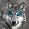 Lobo's profile picture