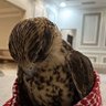 تماضر🤍's profile picture