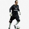 Rogรฉrio Pรชnis's profile picture