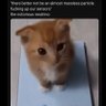 Void profil fotoğrafı